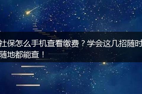 社保怎么手机查看缴费？学会这几招随时随地都能查！