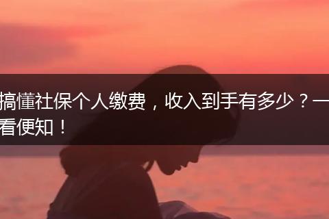 搞懂社保个人缴费，收入到手有多少？一看便知！