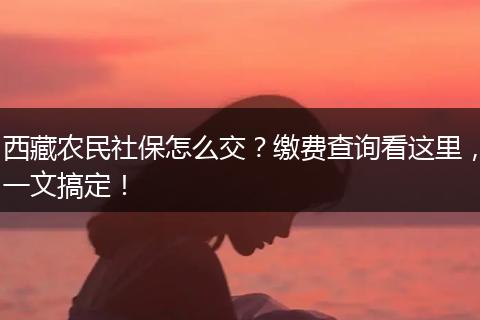 西藏农民社保怎么交？缴费查询看这里，一文搞定！