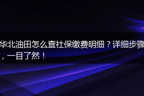 华北油田怎么查社保缴费明细？详细步骤，一目了然！