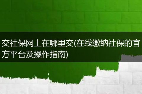 交社保网上在哪里交(在线缴纳社保的官方平台及操作指南)