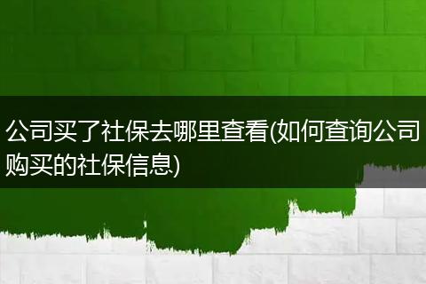 公司买了社保去哪里查看(如何查询公司购买的社保信息)