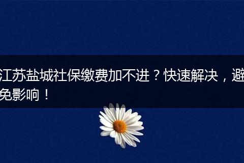 江苏盐城社保缴费加不进？快速解决，避免影响！