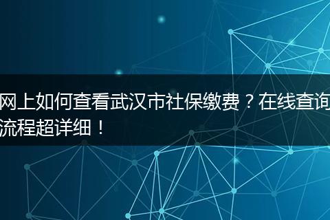 网上如何查看武汉市社保缴费？在线查询流程超详细！