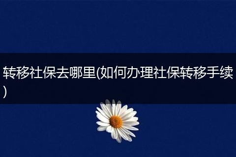转移社保去哪里(如何办理社保转移手续)