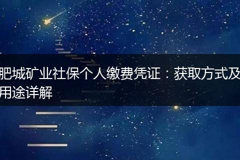 肥城矿业社保个人缴费凭证：获取方式及用途详解