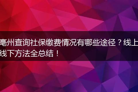 亳州查询社保缴费情况有哪些途径？线上线下方法全总结！