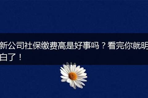 新公司社保缴费高是好事吗？看完你就明白了！