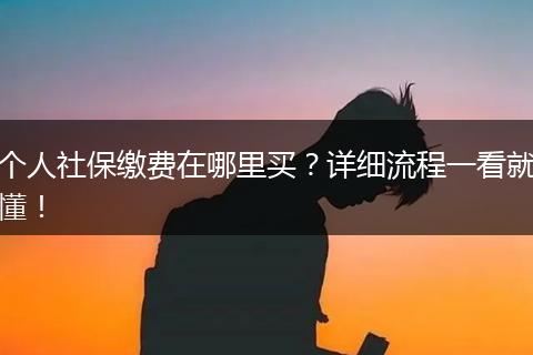 个人社保缴费在哪里买?详细流程一看就懂!