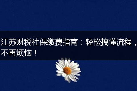 江苏财税社保缴费指南:轻松搞懂流程,不再烦恼!