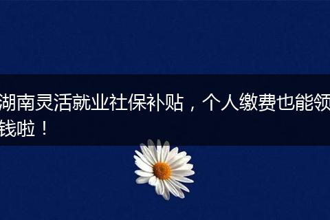 湖南灵活就业社保补贴,个人缴费也能领钱啦!