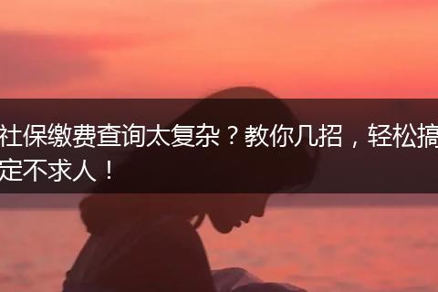 社保缴费查询太复杂？教你几招，轻松搞定不求人！