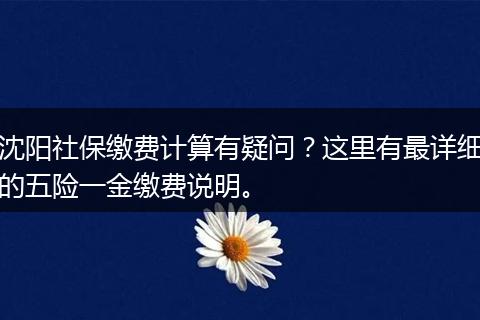 沈阳社保缴费计算有疑问?这里有最详细的五险一金缴费说明。