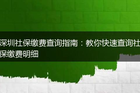 深圳社保缴费查询指南:教你快速查询社保缴费明细
