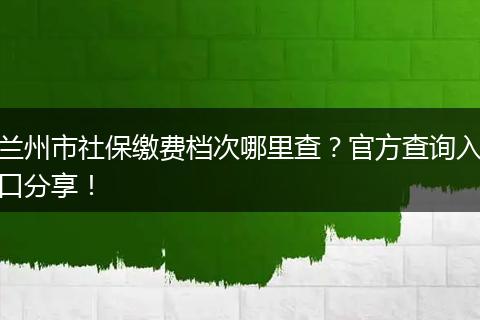 兰州市社保缴费档次哪里查?官方查询入口分享!