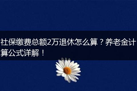 社保缴费总额2万退休怎么算？养老金计算公式详解！