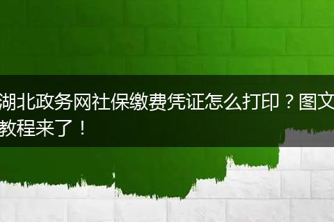 湖北政务网社保缴费凭证怎么打印?图文教程来了!
