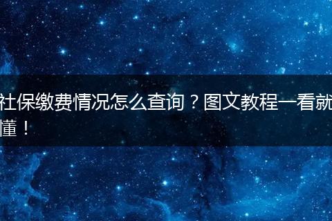 社保缴费情况怎么查询？图文教程一看就懂！