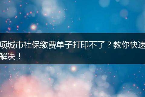 项城市社保缴费单子打印不了?教你快速解决!