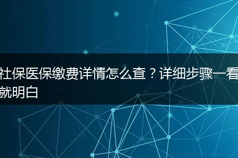 社保医保缴费详情怎么查？详细步骤一看就明白
