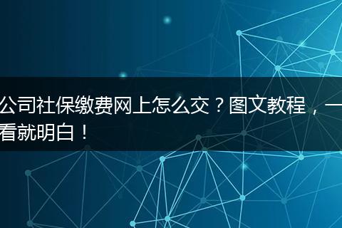 公司社保缴费网上怎么交?图文教程,一看就明白!