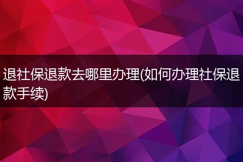 退社保退款去哪里办理(如何办理社保退款手续)