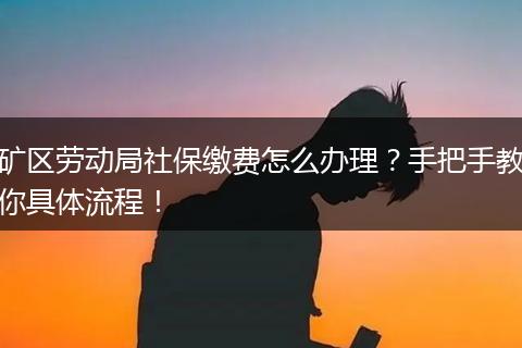 矿区劳动局社保缴费怎么办理?手把手教你具体流程!