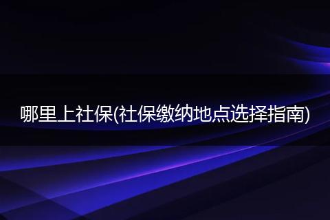 哪里上社保(社保缴纳地点选择指南)