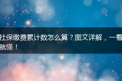 社保缴费累计数怎么算？图文详解，一看就懂！