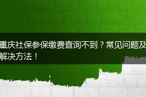 重庆社保参保缴费查询不到?常见问题及解决方法!