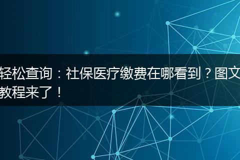轻松查询:社保医疗缴费在哪看到?图文教程来了!