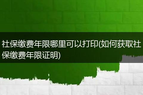 社保缴费年限哪里可以打印(如何获取社保缴费年限证明)