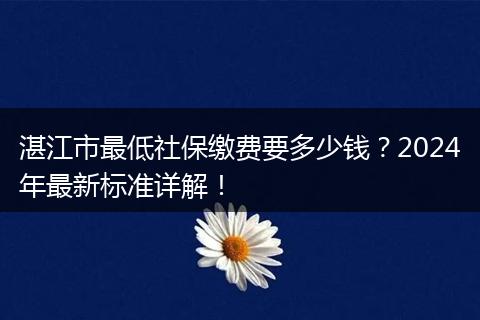 湛江市最低社保缴费要多少钱？2024年最新标准详解！