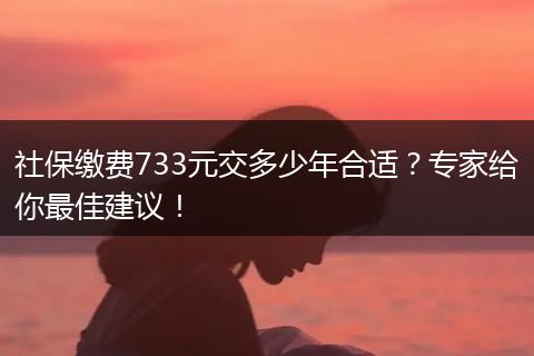 社保缴费733元交多少年合适?专家给你最佳建议!