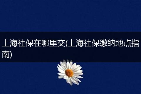 上海社保在哪里交(上海社保缴纳地点指南)