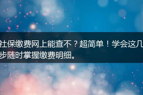 社保缴费网上能查不?超简单!学会这几步随时掌握缴费明细。