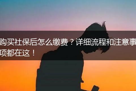 购买社保后怎么缴费？详细流程和注意事项都在这！