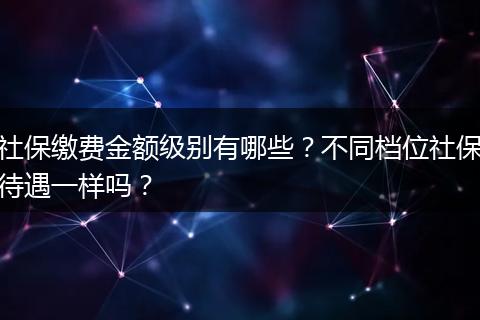 社保缴费金额级别有哪些?不同档位社保待遇一样吗?
