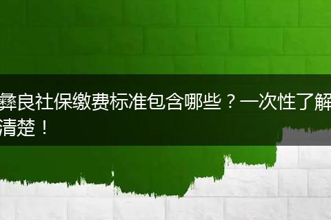 彝良社保缴费标准包含哪些？一次性了解清楚！