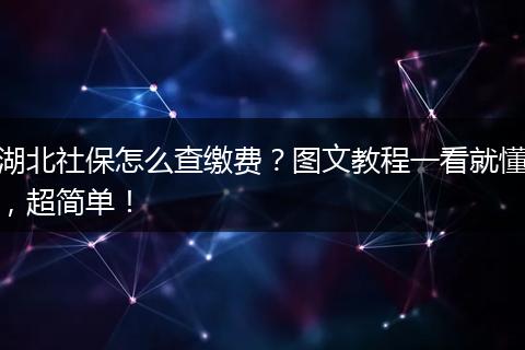 湖北社保怎么查缴费？图文教程一看就懂，超简单！