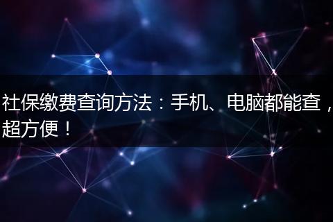 社保缴费查询方法：手机、电脑都能查，超方便！