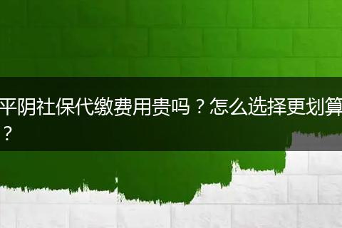 平阴社保代缴费用贵吗？怎么选择更划算？