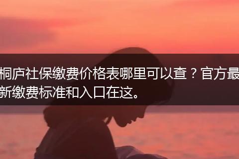 桐庐社保缴费价格表哪里可以查？官方最新缴费标准和入口在这。