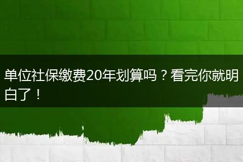 单位社保缴费20年划算吗？看完你就明白了！