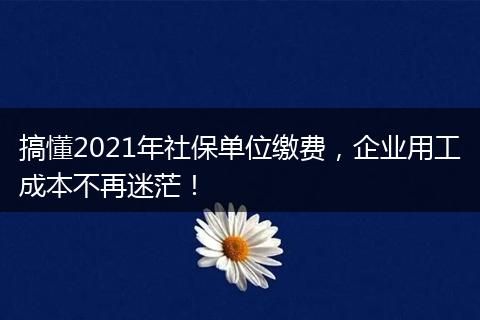 搞懂2021年社保单位缴费,企业用工成本不再迷茫!