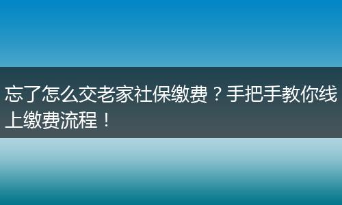 忘了怎么交老家社保缴费？手把手教你线上缴费流程！