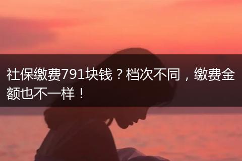 社保缴费791块钱？档次不同，缴费金额也不一样！