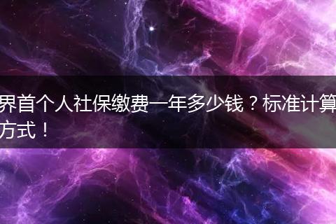 界首个人社保缴费一年多少钱？标准计算方式！