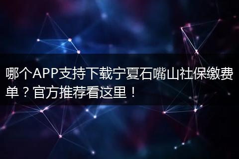 哪个APP支持下载宁夏石嘴山社保缴费单？官方推荐看这里！