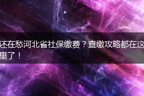还在愁河北省社保缴费?查缴攻略都在这里了!